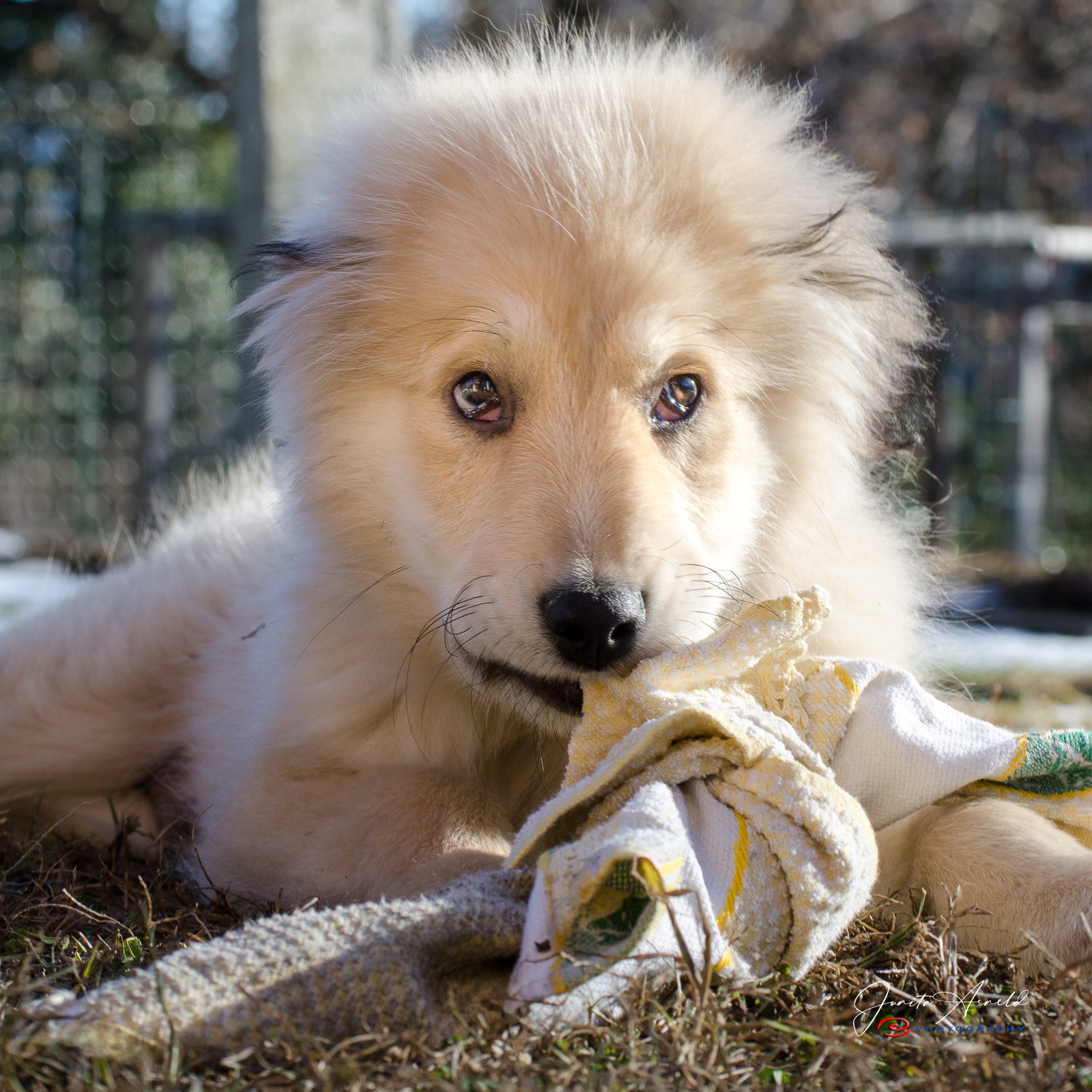 Puppy gaze — Soft face, serious eyes.