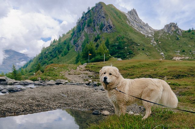 Acqua e pietra — Una pausa in campo aperto.
